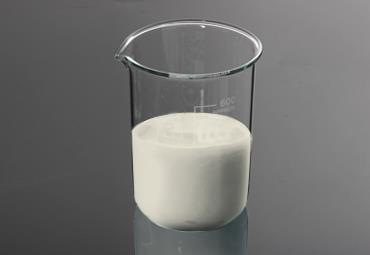 B19羟基丙烯酸分散体